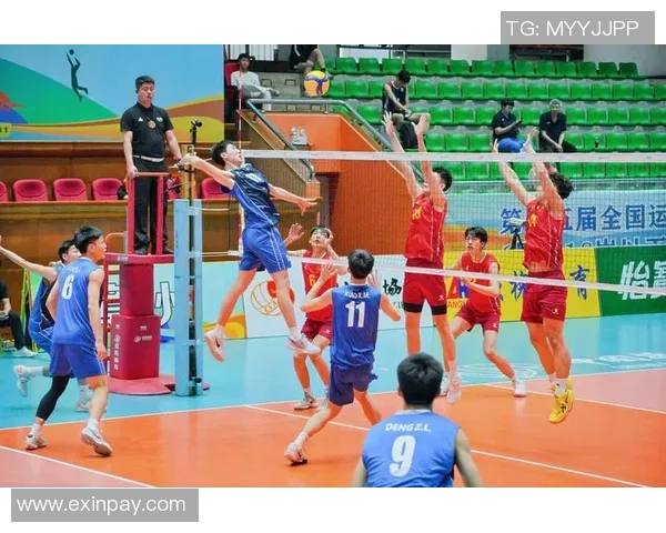 重庆排球队技术解析：从基本功到战术运用的全面探讨与提升